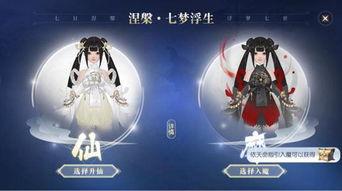 天命千金涅槃手册,揭秘命运转折的神秘力量