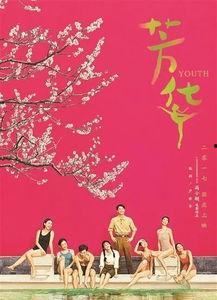 芳华初梦,青春岁月的璀璨篇章