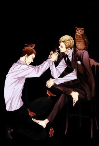 鸣鸟不飞,探寻心灵深处的自由与束缚