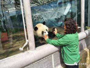 姐妹饲养员,共育动物乐园