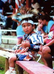 温尼贝戈人,探寻自然与心灵的和谐之旅